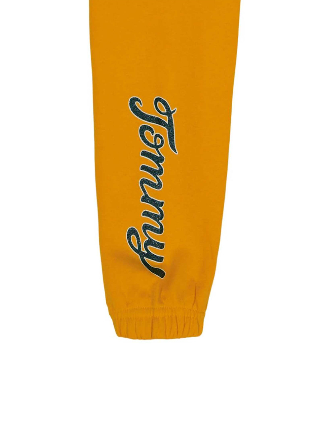 Штани Tommy Hilfiger (331013481)