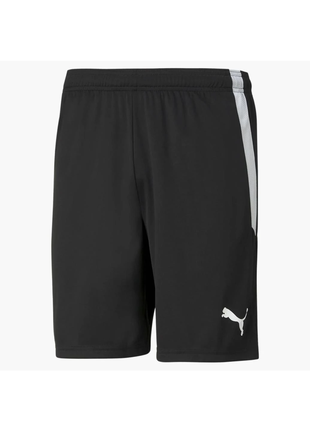 Шорты 704924-03 Puma Teamliga (367034138)