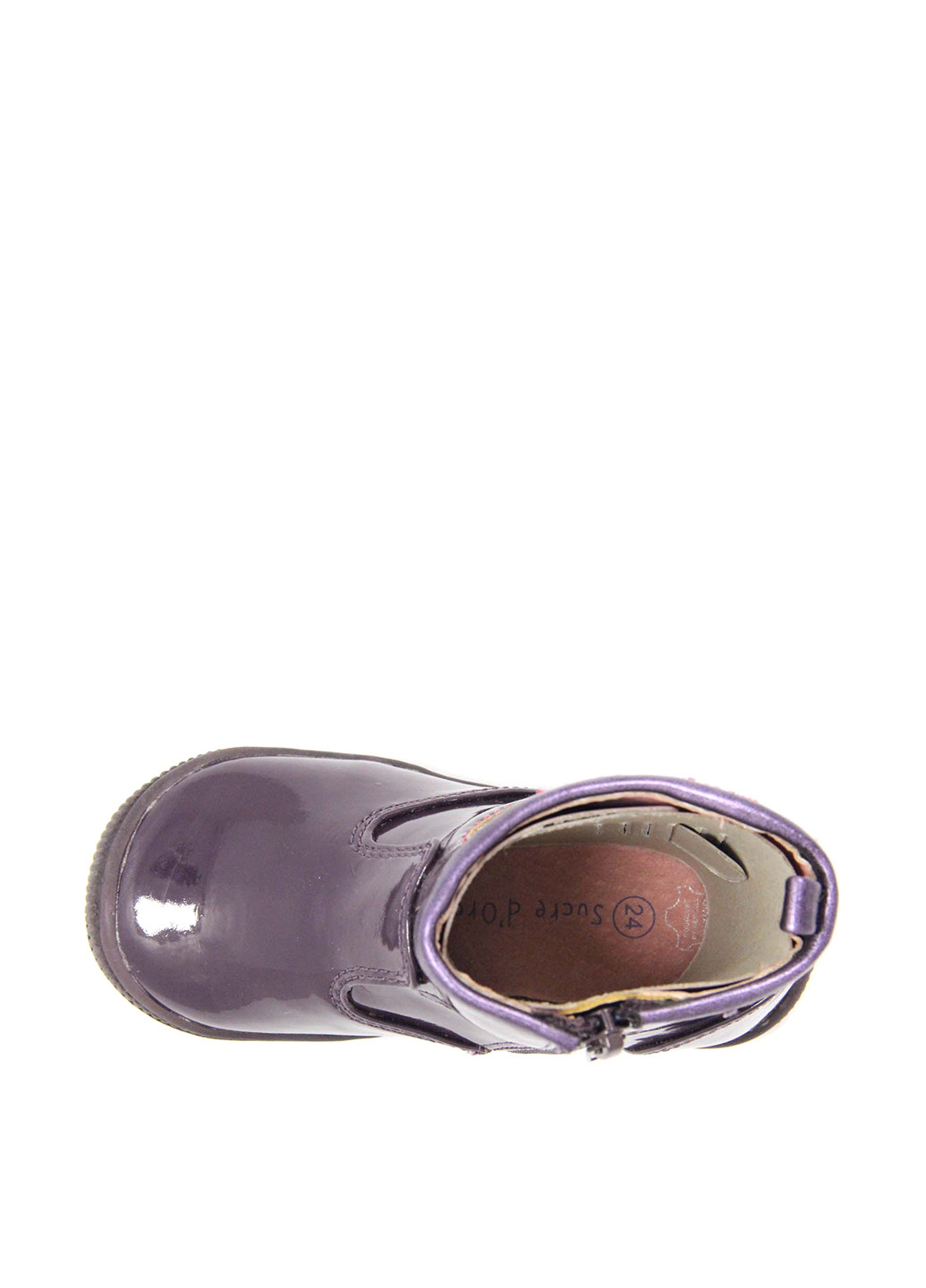 Фиолетовые кэжуал осенние ботинки Sucre D'Orge