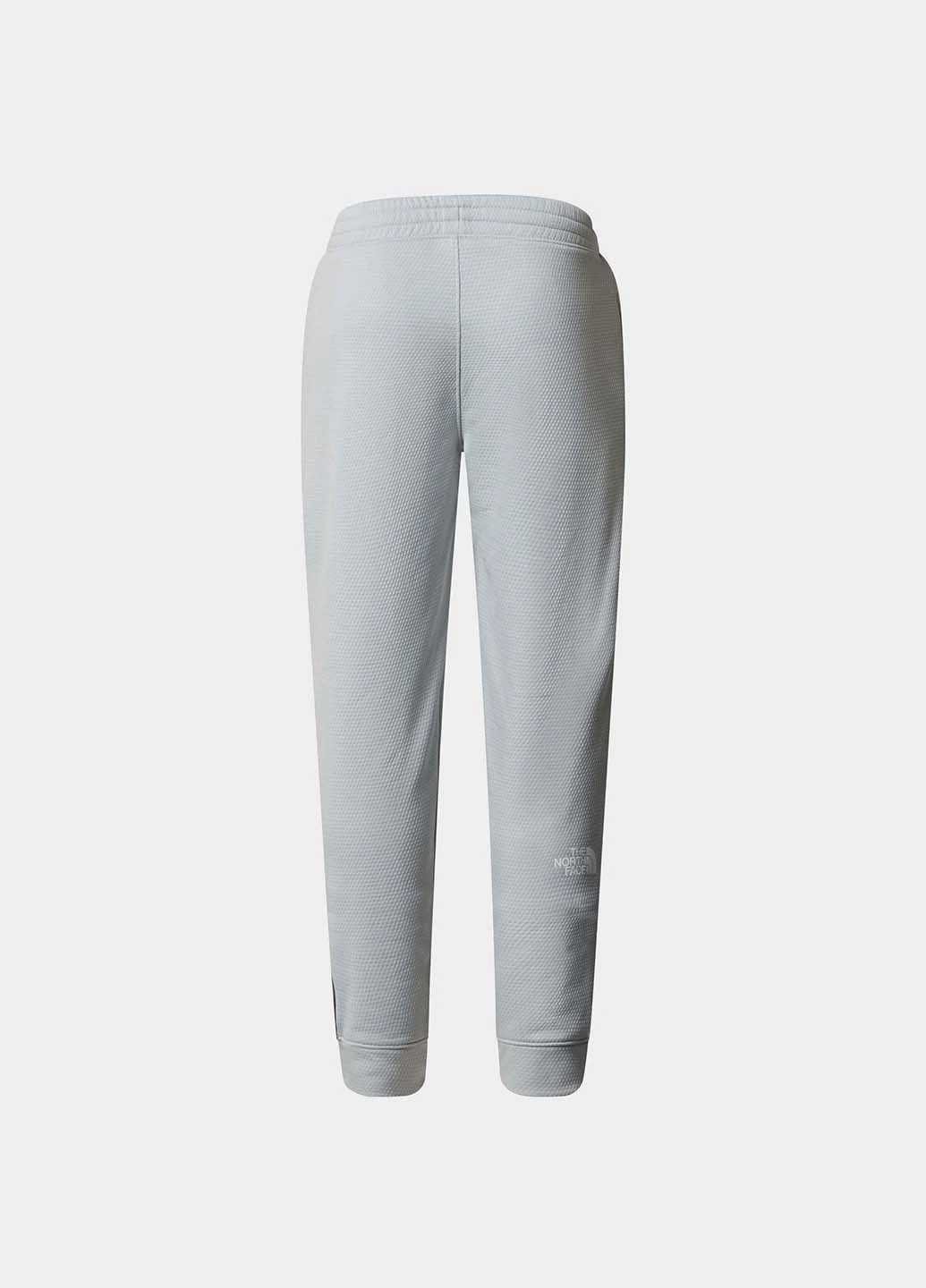 Серые спортивные демисезонные джоггеры брюки The North Face