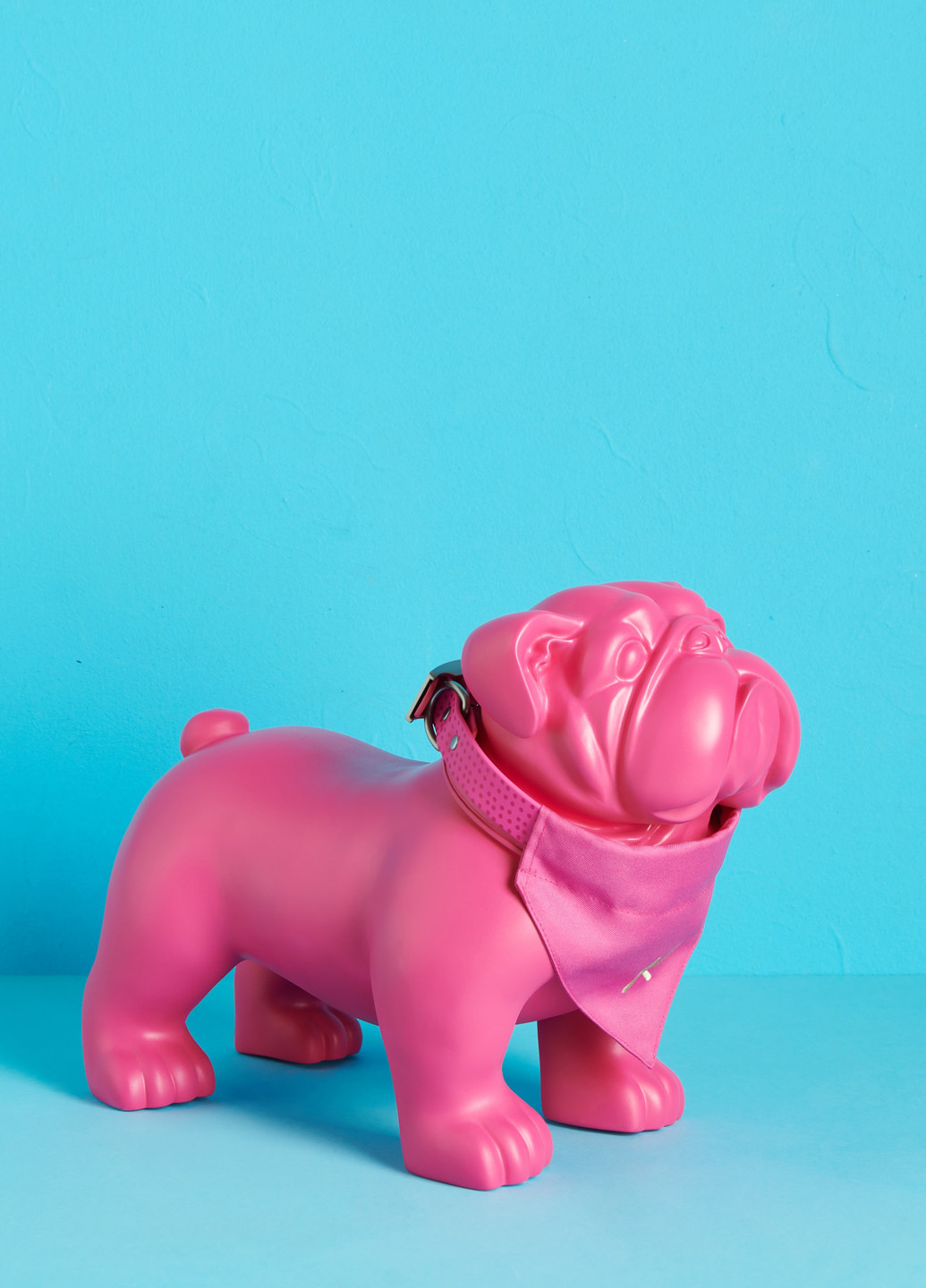 Нашийник Reserved (291125913)