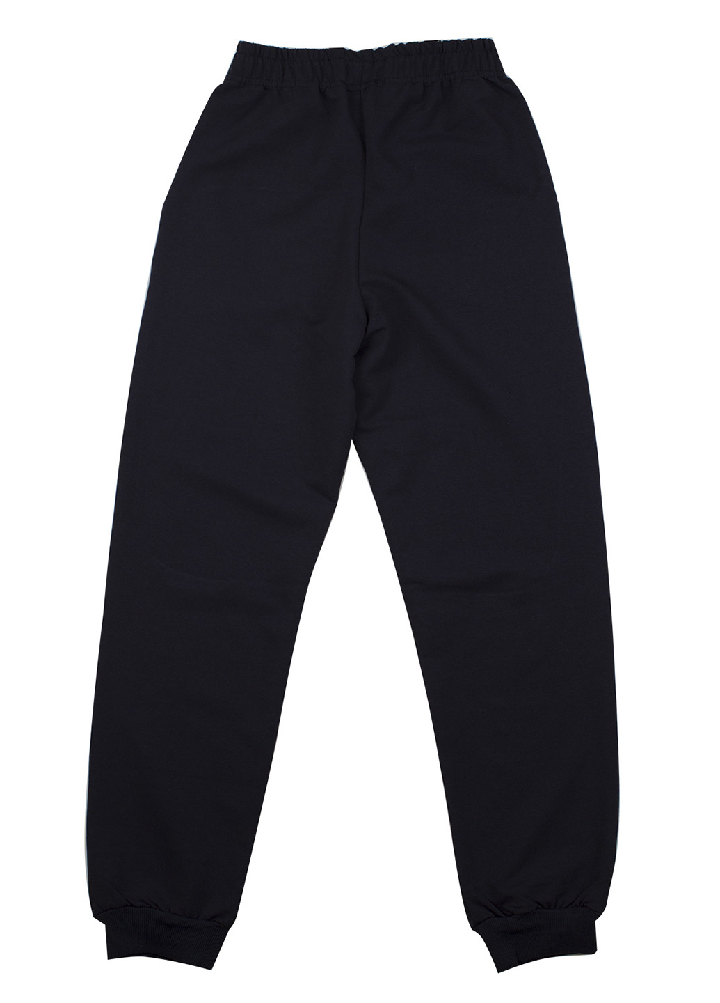 Темно-синие спортивные демисезонные брюки джоггеры Breeze