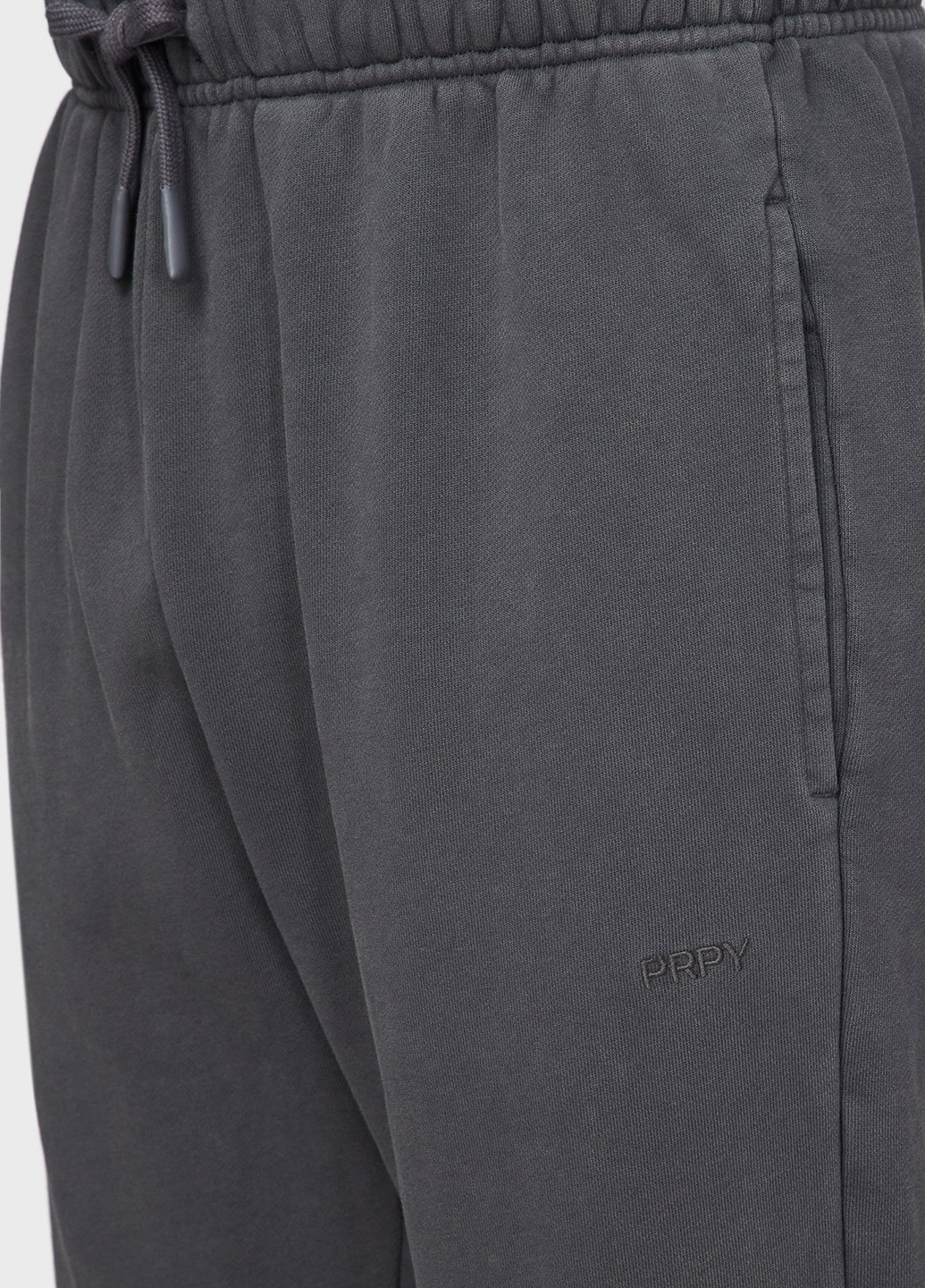 Темно-серые спортивные демисезонные джоггеры брюки PRPY