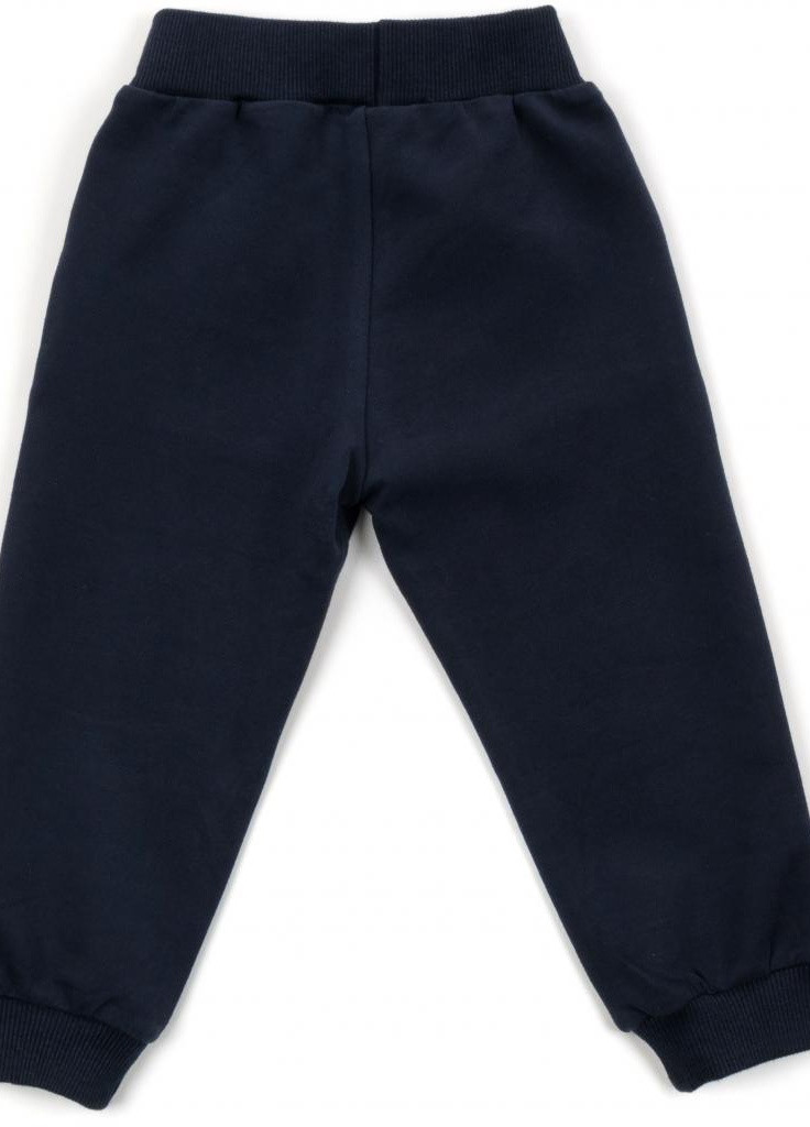 Голубой демисезонный костюм десткий "game" (14435-86b-gray) Breeze