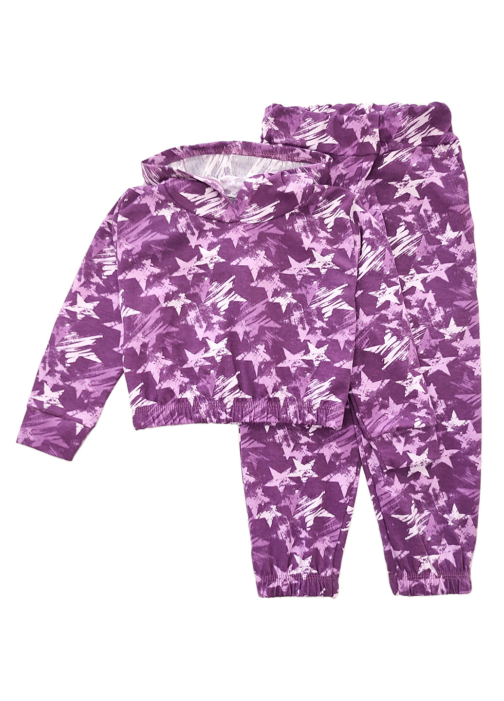 Фиолетовый демисезонный костюм (худи, брюки) брючный Ивтекс