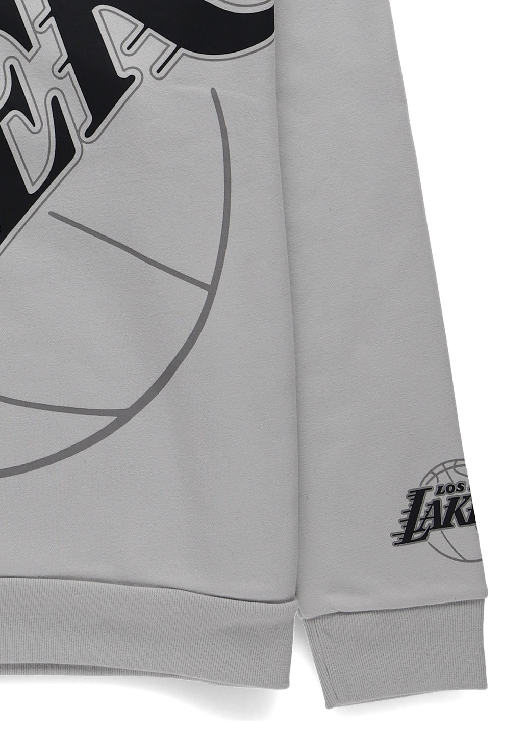 Светло-серый свитшот Hollister надпись без декора (332805219)