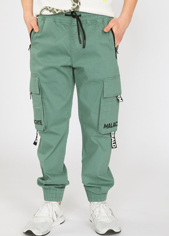 Зеленые кэжуал демисезонные брюки джоггеры Reporter Young