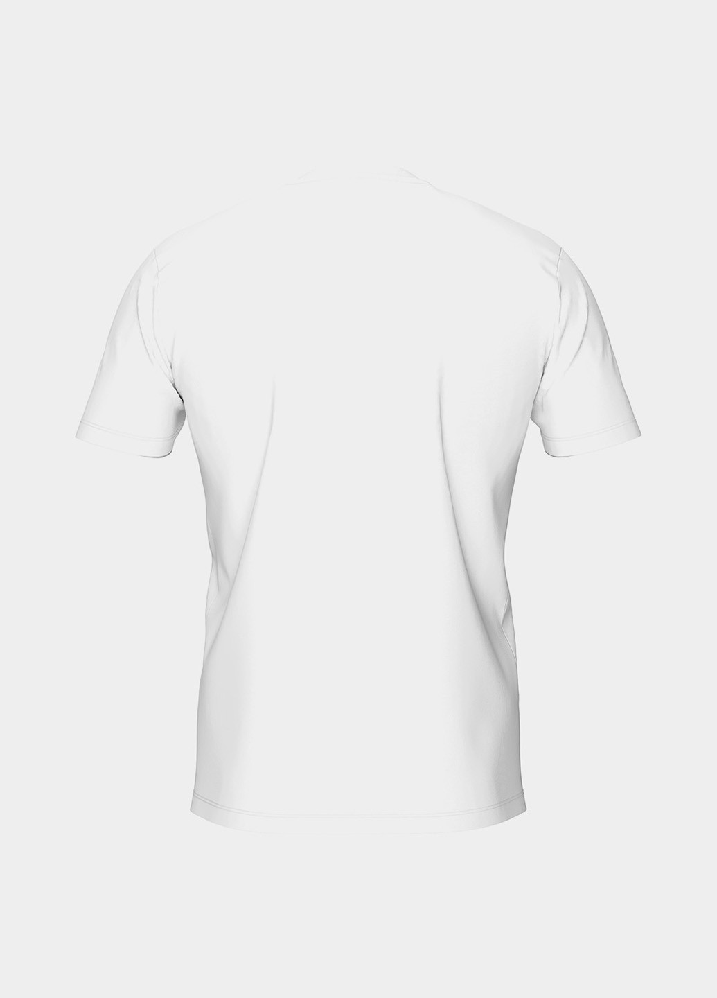 Футболка Arena T-SHIRT LOGO COTTON (306831226)