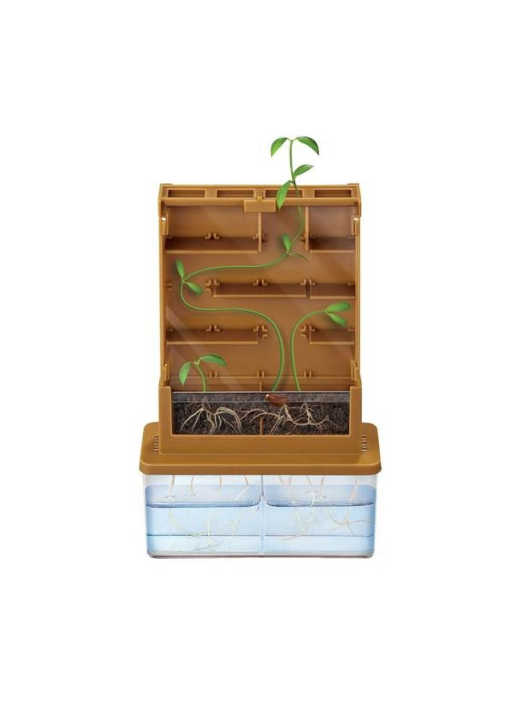 Набір для експериментів для досліджень Рослинний лабіринт 4М (252418756)