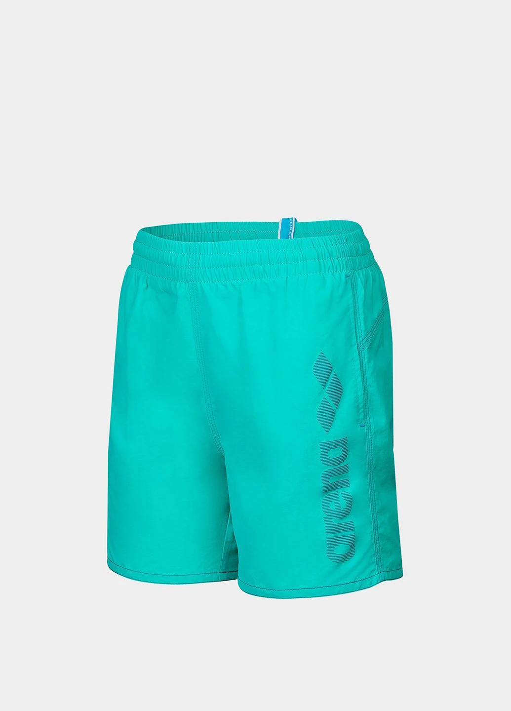 Шорти Arena LOGOTYPE BEACH BOXER (331601905)