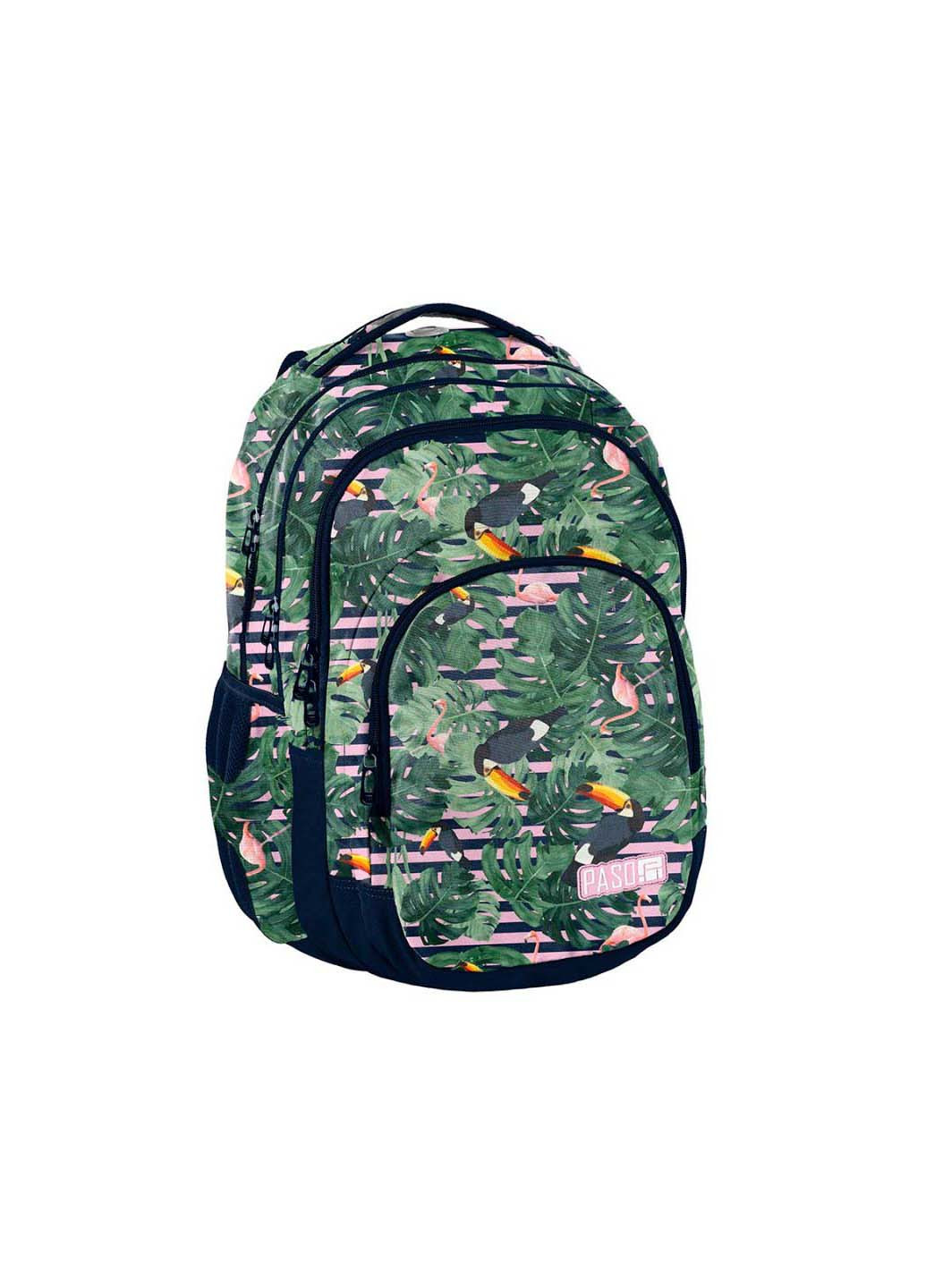 Рюкзак Paso (251208305)