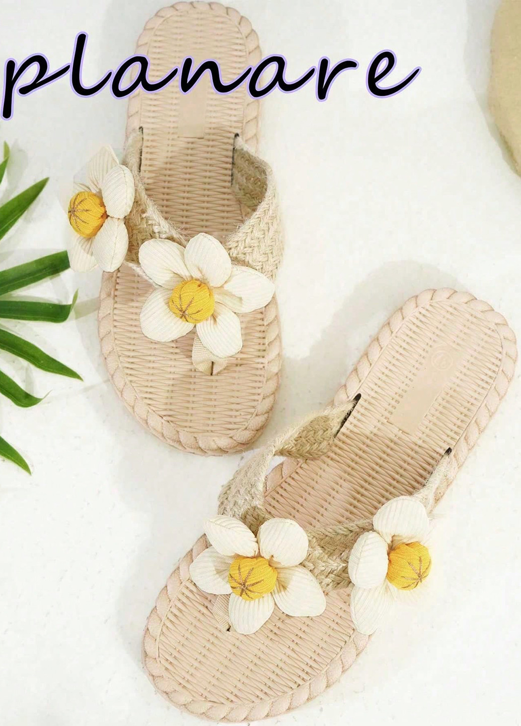 Шльопанці SHEIN (367004387)