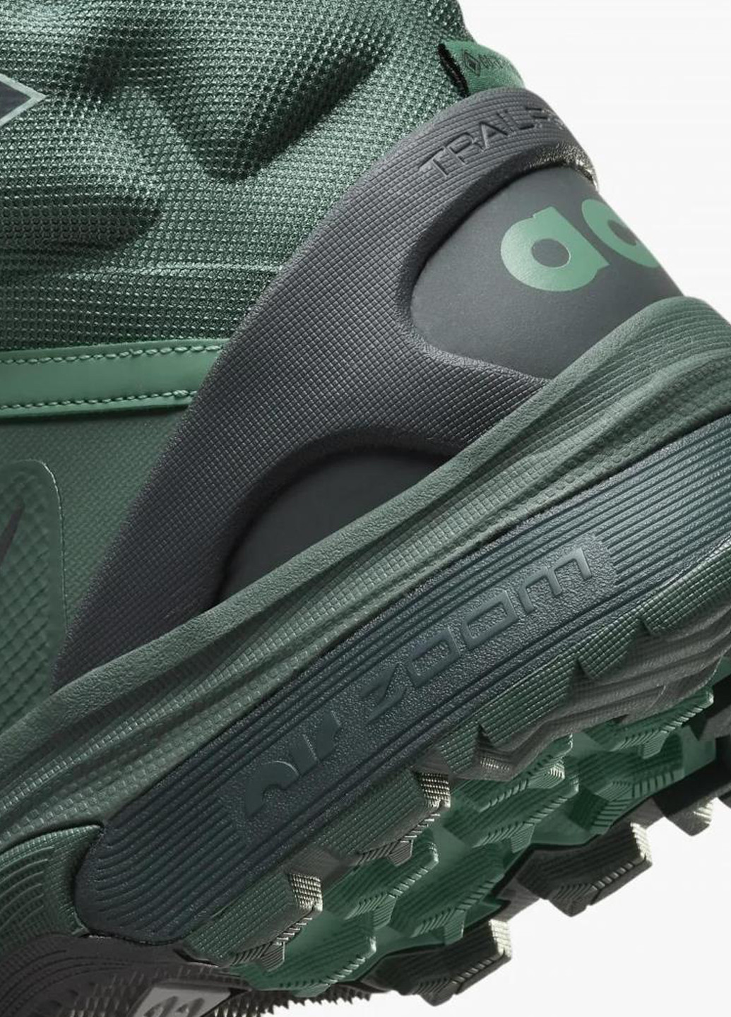 Черевики DD2858-300 Nike Acg Air Zoom Gaiadome Gore-Tex (365688230)