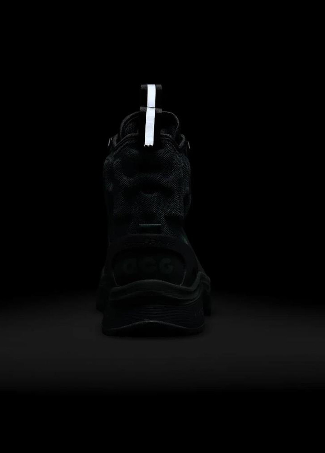 Черевики DD2858-300 Nike Acg Air Zoom Gaiadome Gore-Tex (365688230)