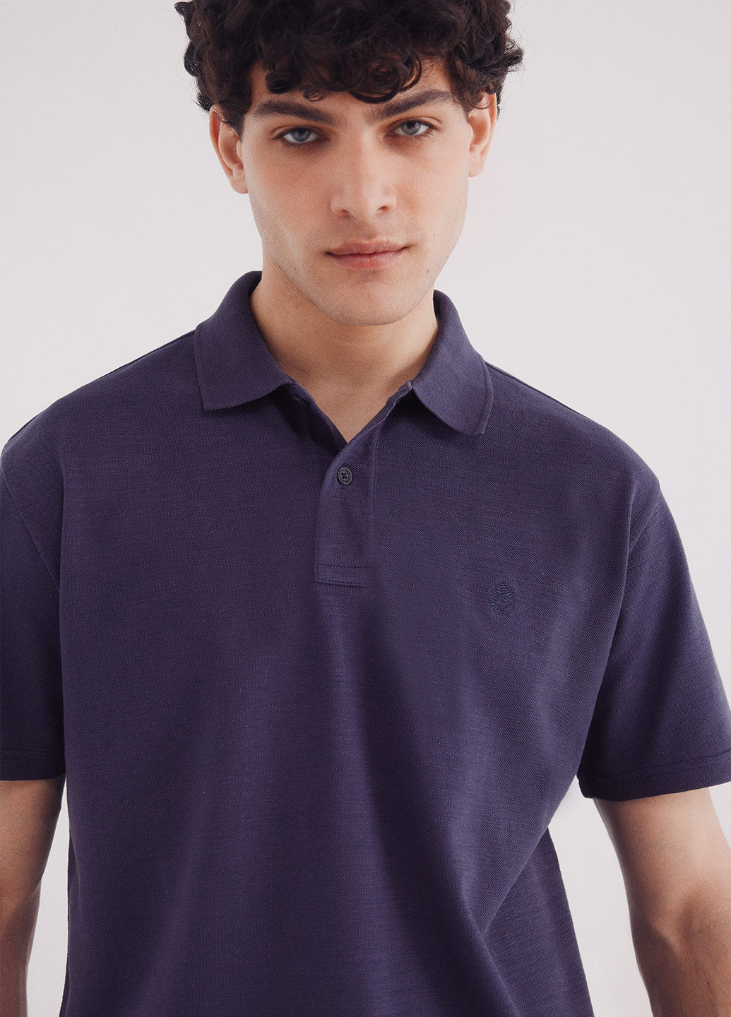 Поло Springfield (342058874)