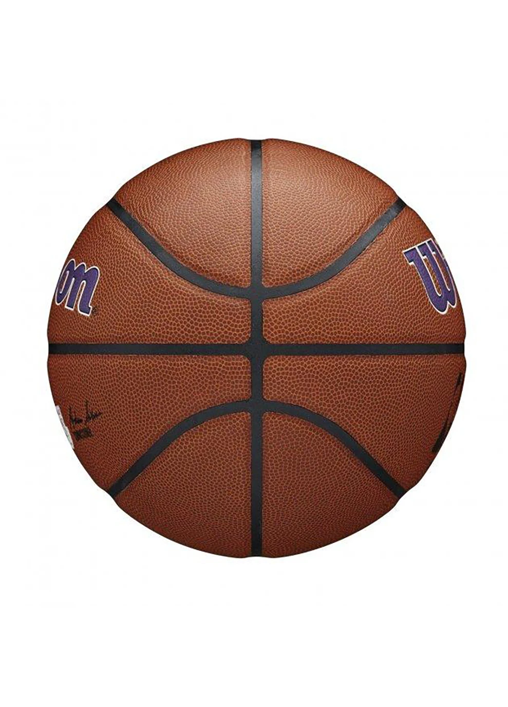 Баскетбольный Мяч NBA Team Alliance Basketball 7 Wilson (253678099)