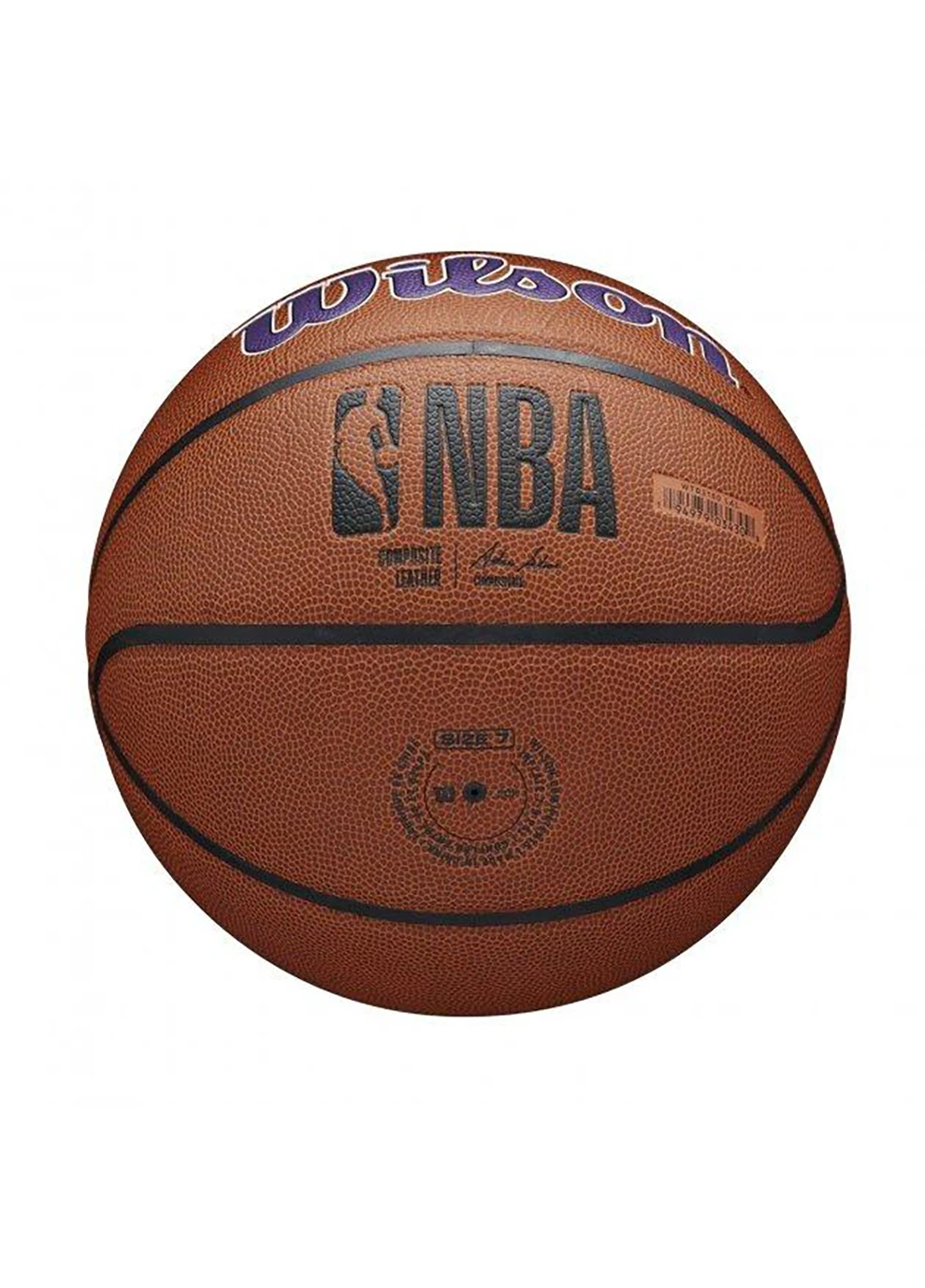 Баскетбольный Мяч NBA Team Alliance Basketball 7 Wilson (253678099)