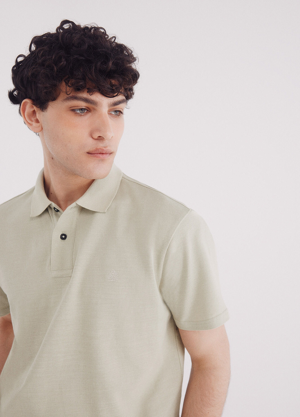 Поло Springfield (342058894)