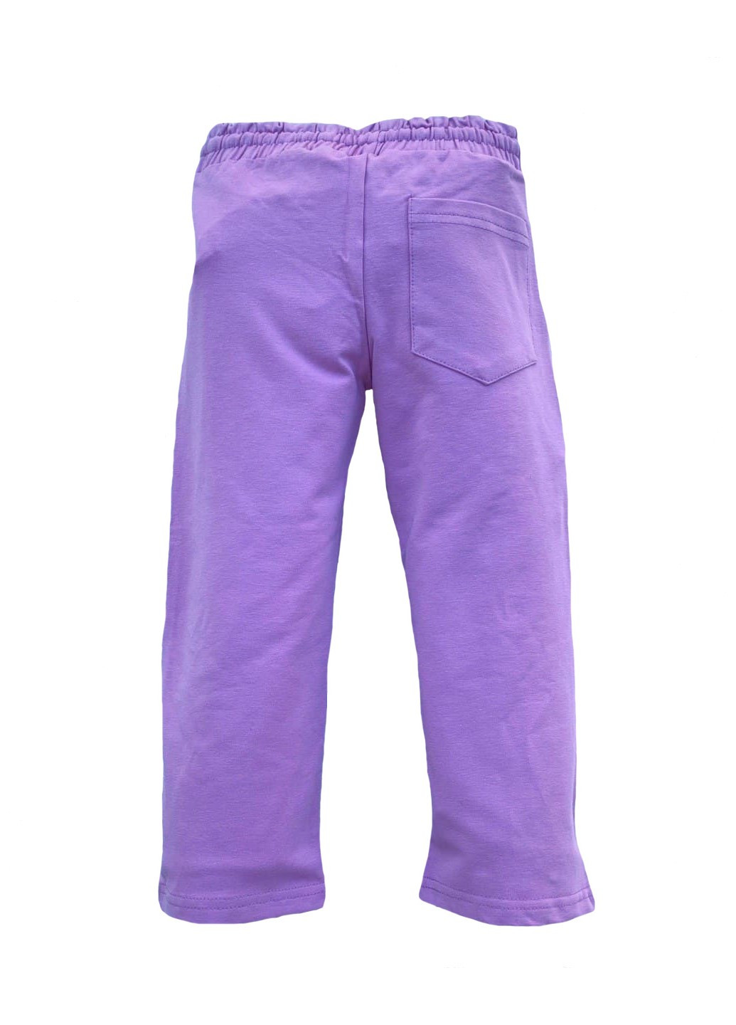Фиолетовые спортивные демисезонные брюки New Course