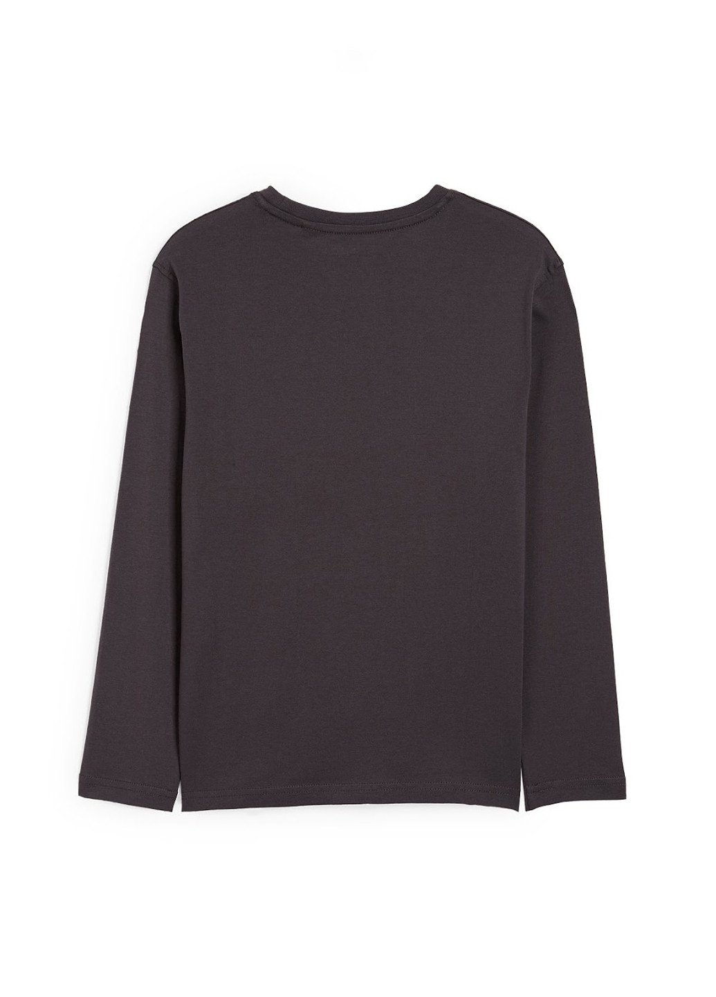 Темно-серый демисезонный кэжуал лонгслив C&A с надписями