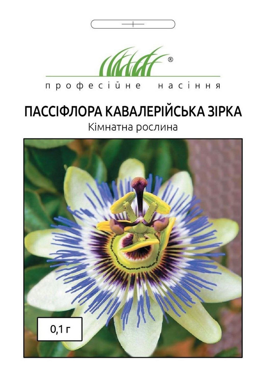 Насіння Пассіфлора Кавалерійська зірка 0,1 г Професійне насіння (215963592)