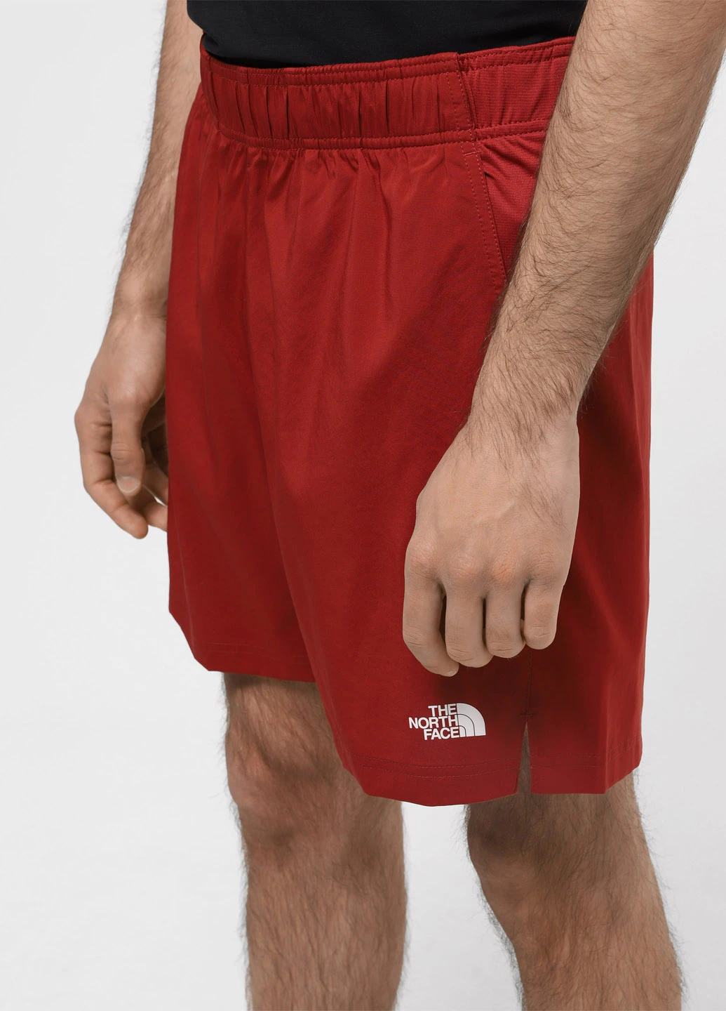 Шорти The North Face (330361441)