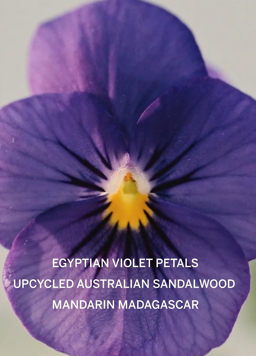 Набір для тіла (міст, лосьйон, молочко) Victoria's Secret (322017301)