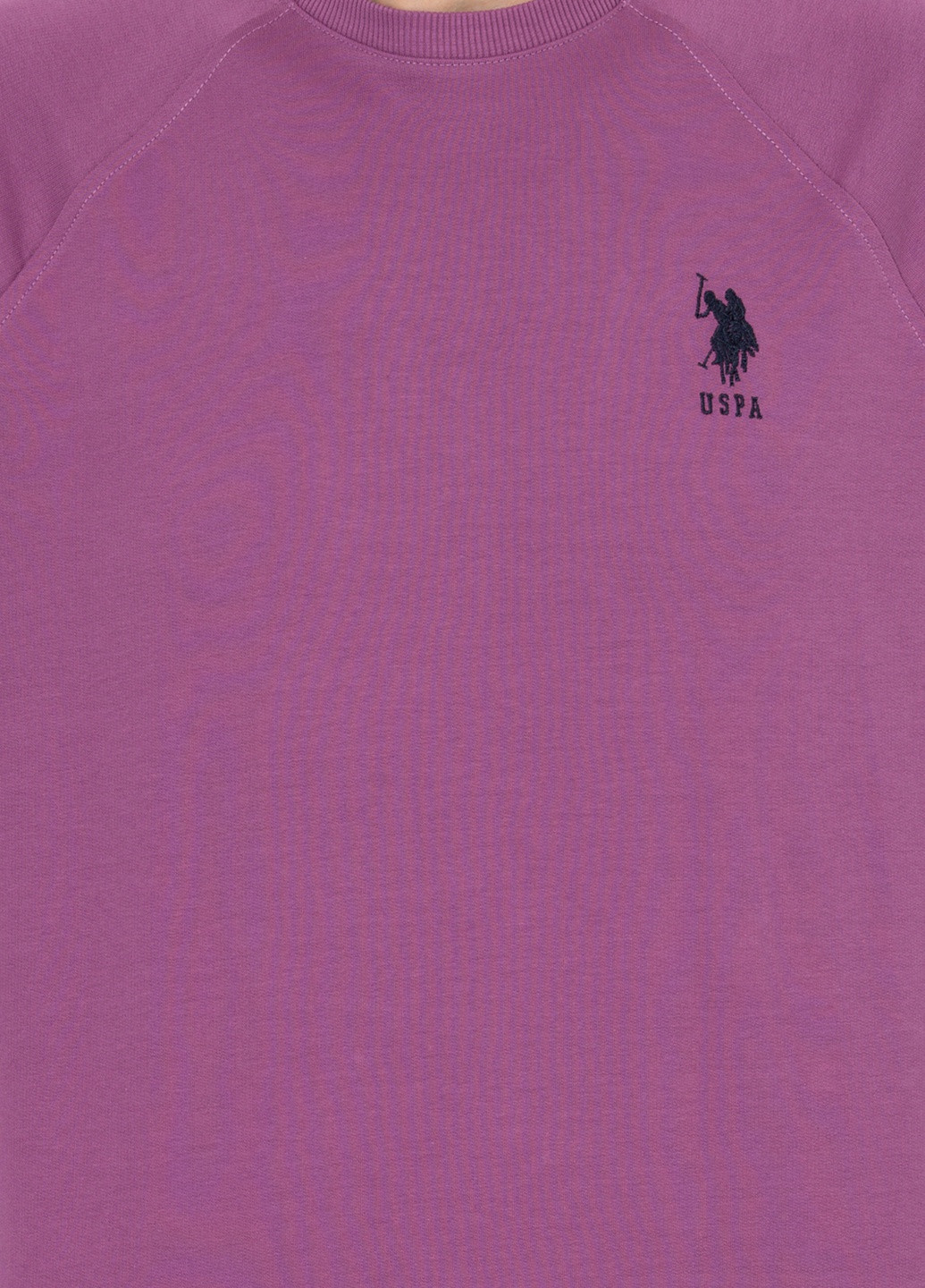 Свитшот U.S. Polo Assn. - крой фиолетовый - (257039769)