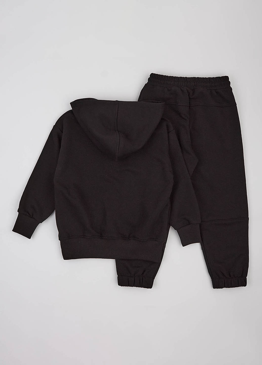 Костюм (толстовка, брюки) Фламинго (307929906)