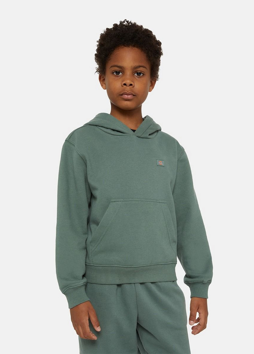 Худі Dickies (365686771)