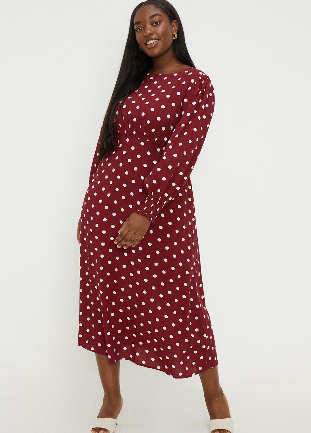 Бордова кежуал сукня Dorothy Perkins в горошок