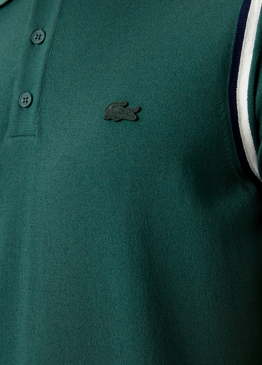 Поло Lacoste (298073856)