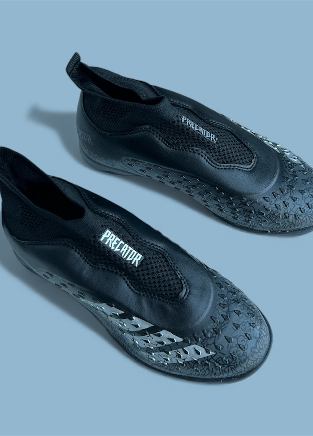 Сороконіжки Caroc (369282897)