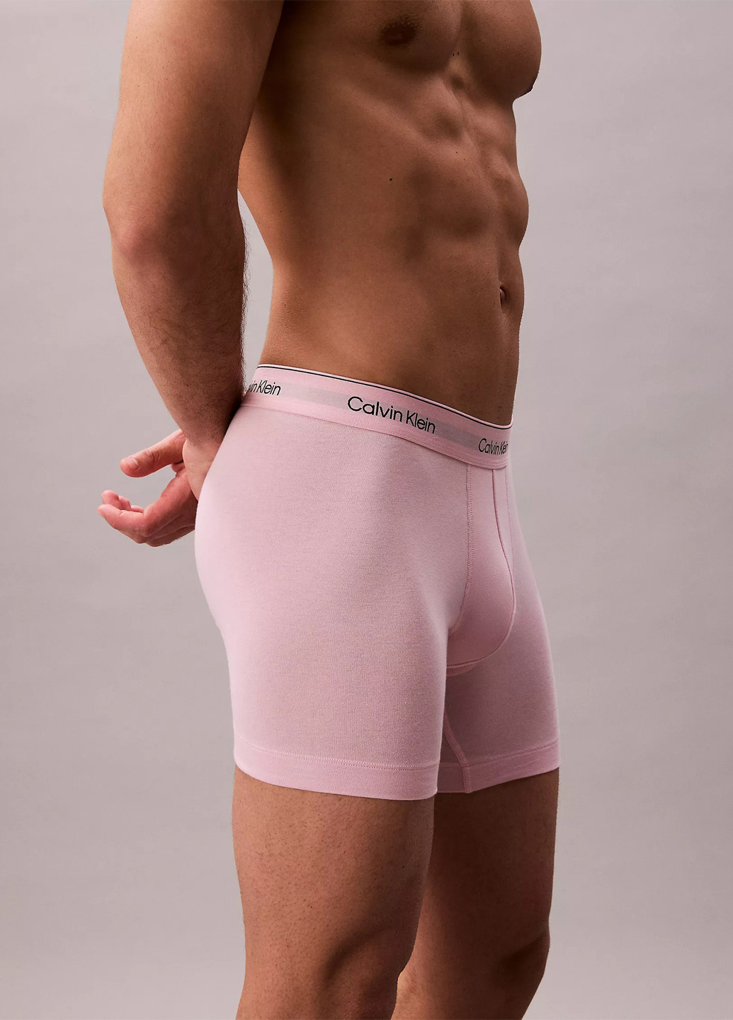 Труси (5 шт.) Calvin Klein (368668152)