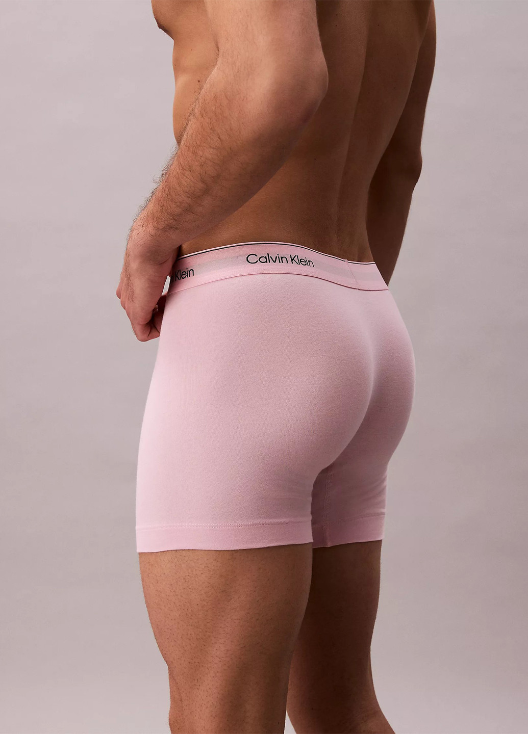 Труси (5 шт.) Calvin Klein (368668152)