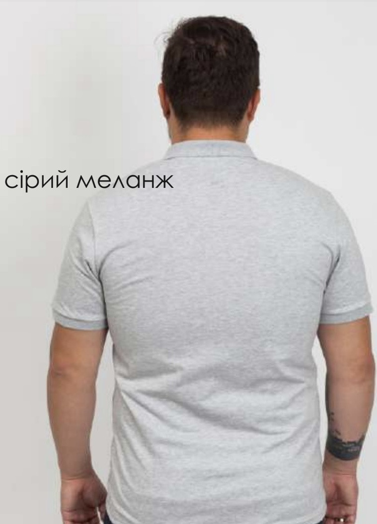 Сіра однотонна футболка polo Габби