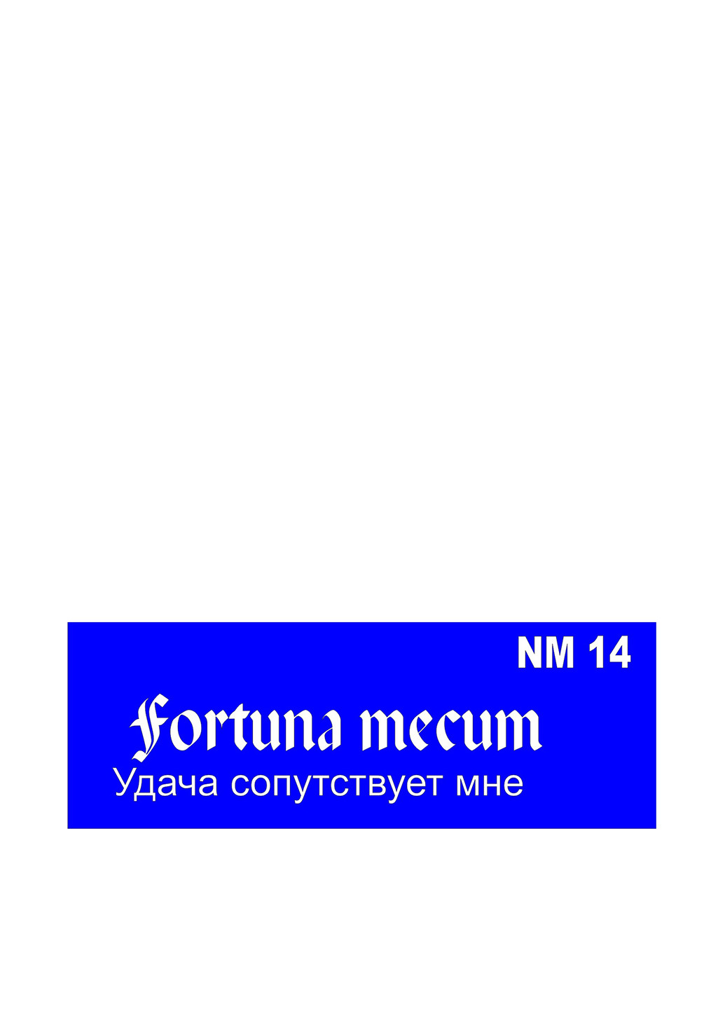 Трафарет для біотату Написи, NM 14 13х4.5 см Mayur (160879867)