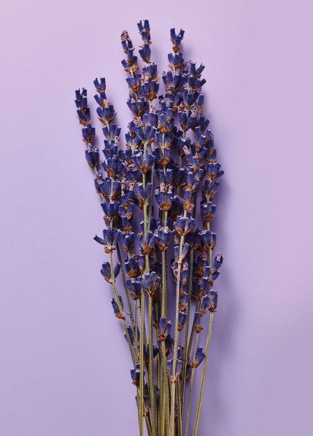 Подарунковий набір (7 пр.) Victoria's Secret (370300166)