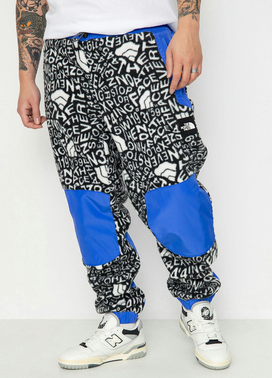 Штани The North Face (330382142)