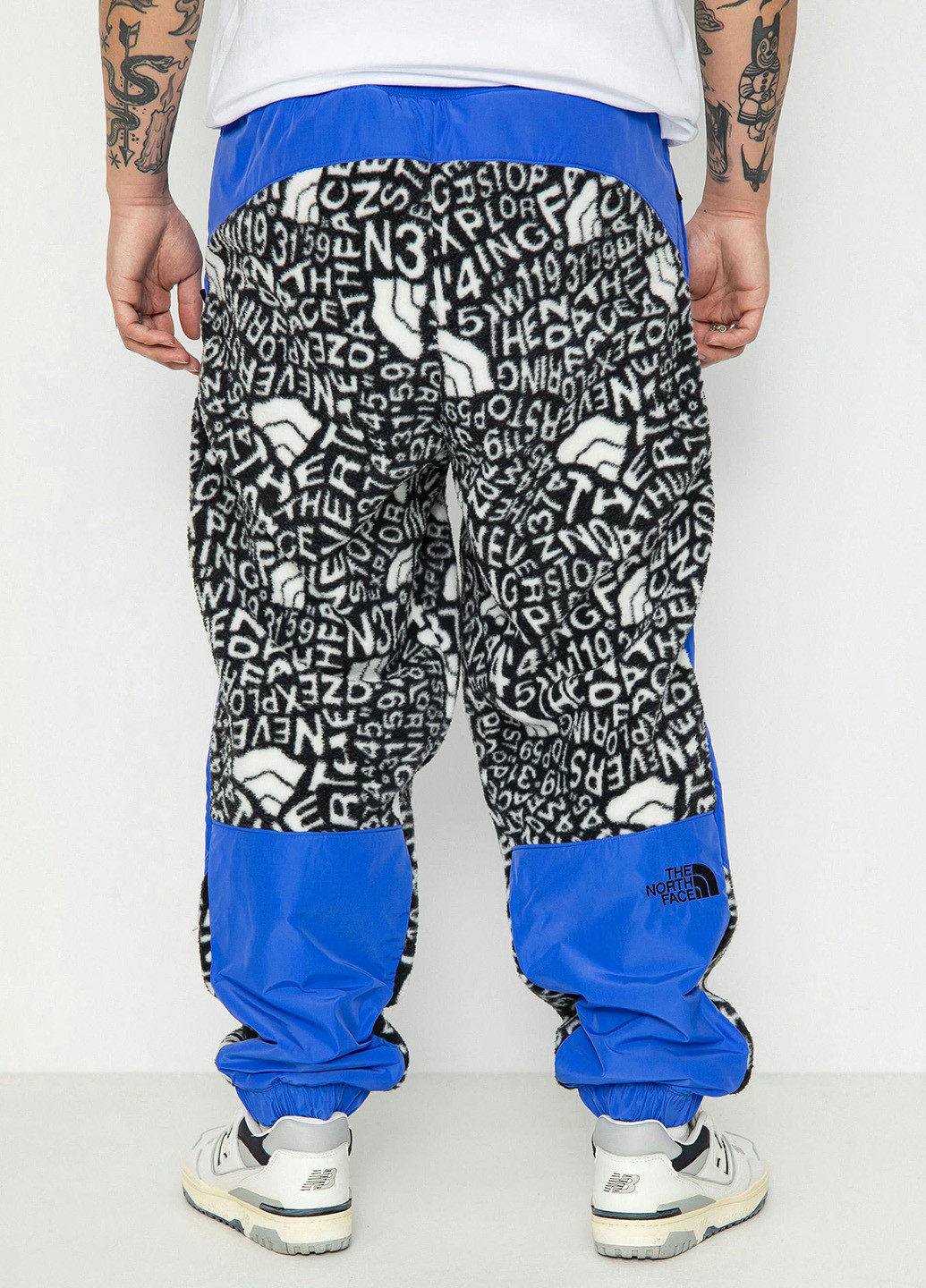 Штани The North Face (330382142)