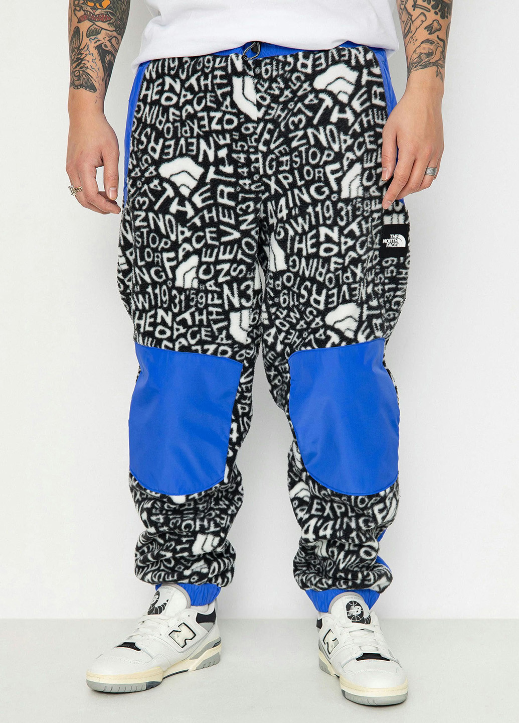 Штани The North Face (330382142)