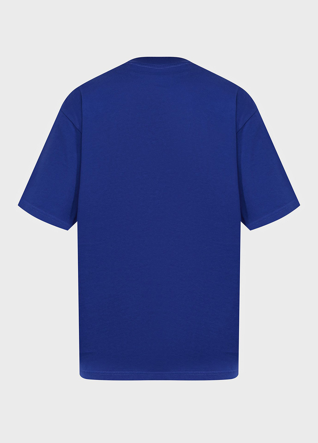 Синяя футболка Replay