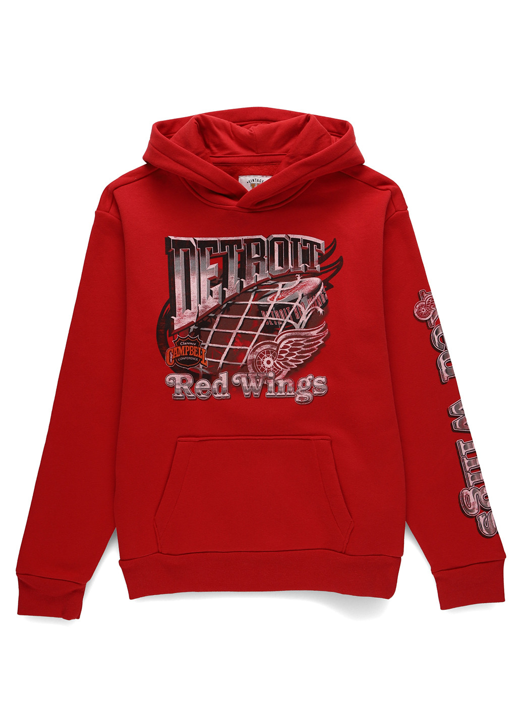 Худі Hollister (332806147)