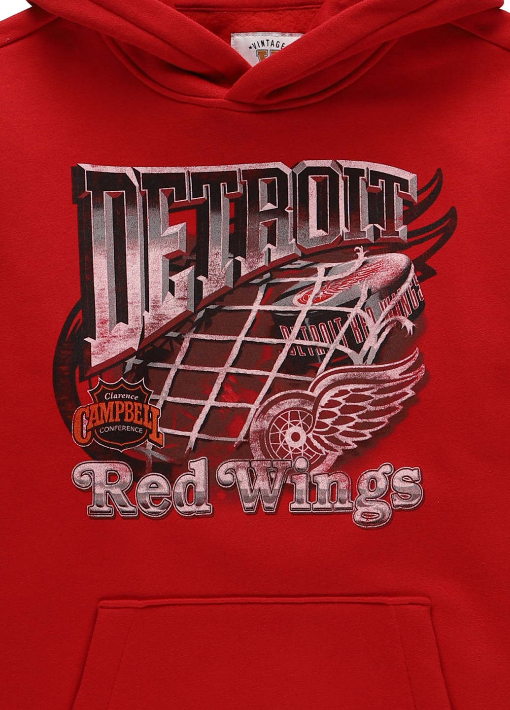 Худі Hollister (332806147)