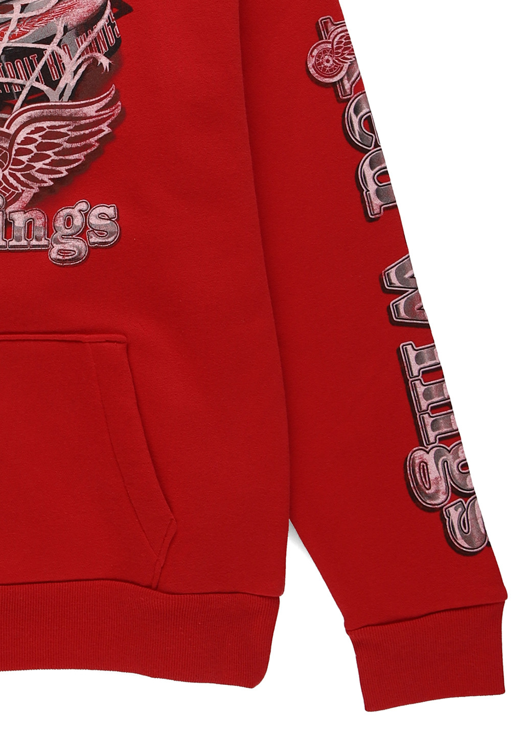 Худі Hollister (332806147)