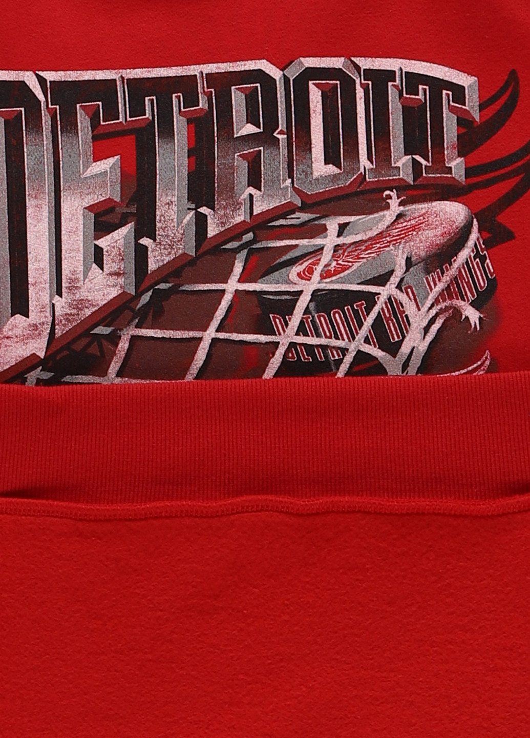 Худі Hollister (332806147)