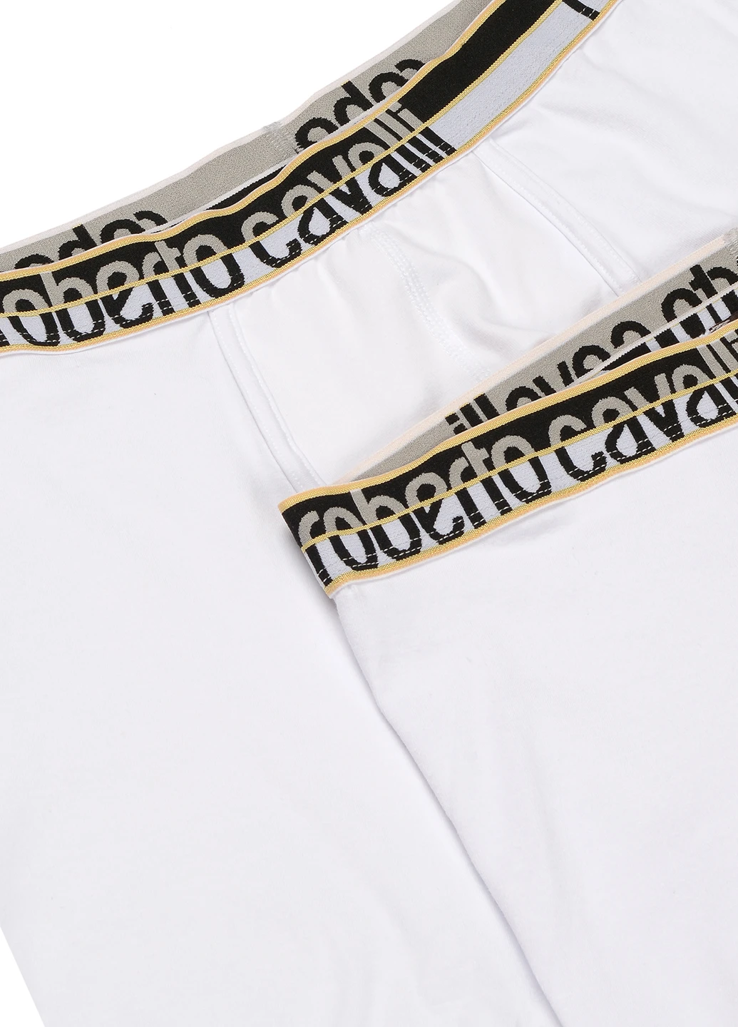 Трусы (2 шт.) Roberto Cavalli (202705946)