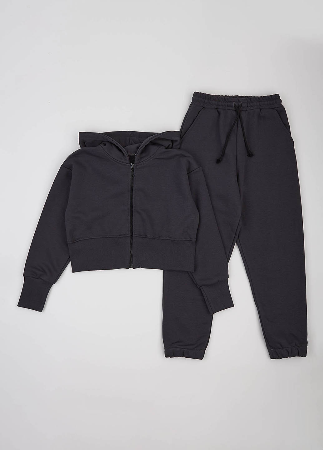 Костюм (толстовка, штани) Фламинго (307929959)