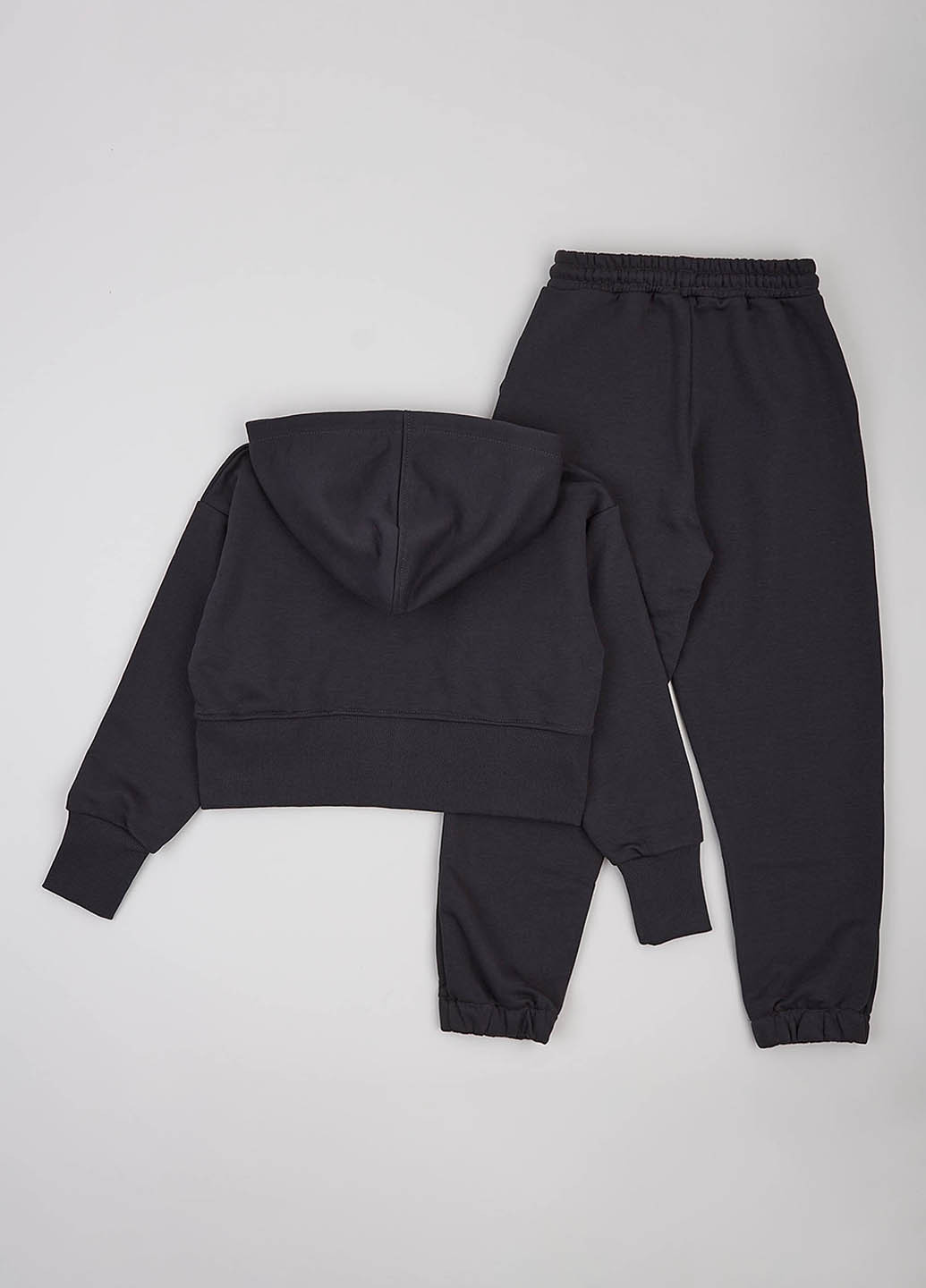 Костюм (толстовка, штани) Фламинго (307929959)