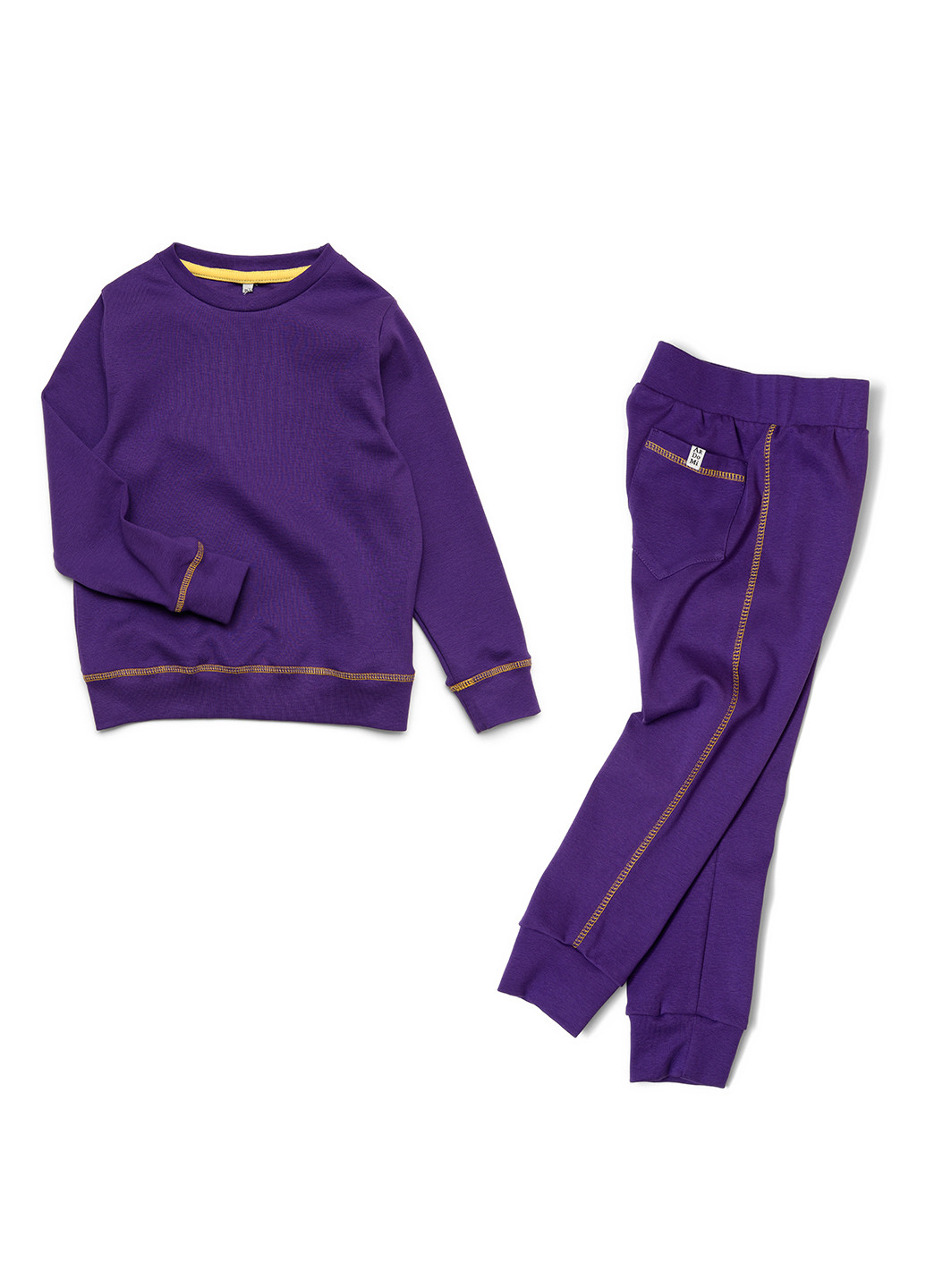 Фіолетовий демісезонний костюм (світшот, брюки) брючний ArDoMi